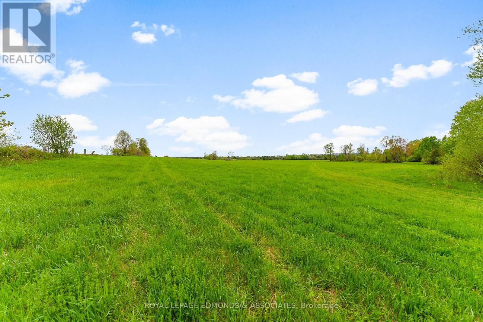 0 Wright Road, Whitewater Region, ON