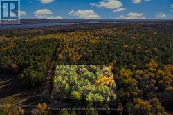 100 NANGOR TRAIL Whitewater Region, ON K0J 2L0