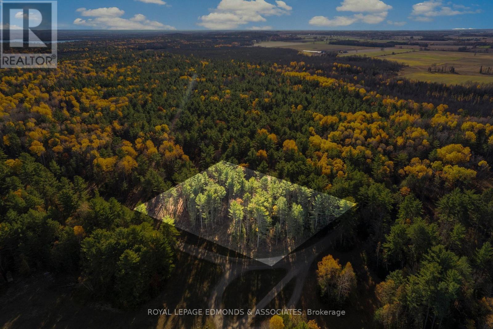 100 Nangor Trail, Whitewater Region, ON