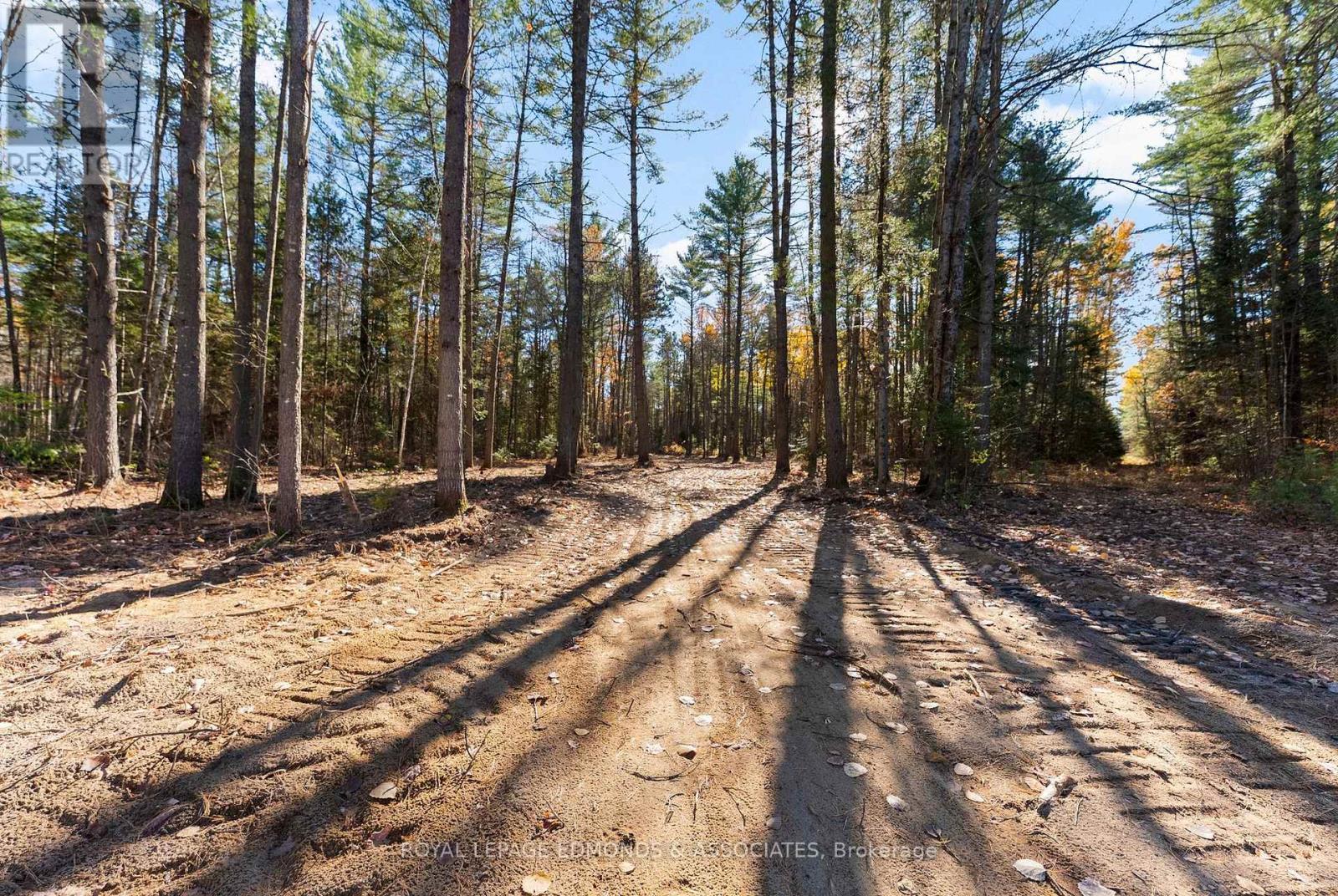 100 Nangor Trail, Whitewater Region, ON