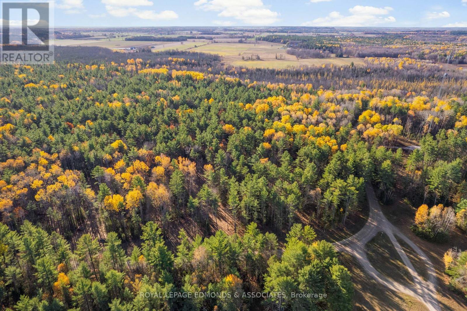 100 Nangor Trail, Whitewater Region, ON