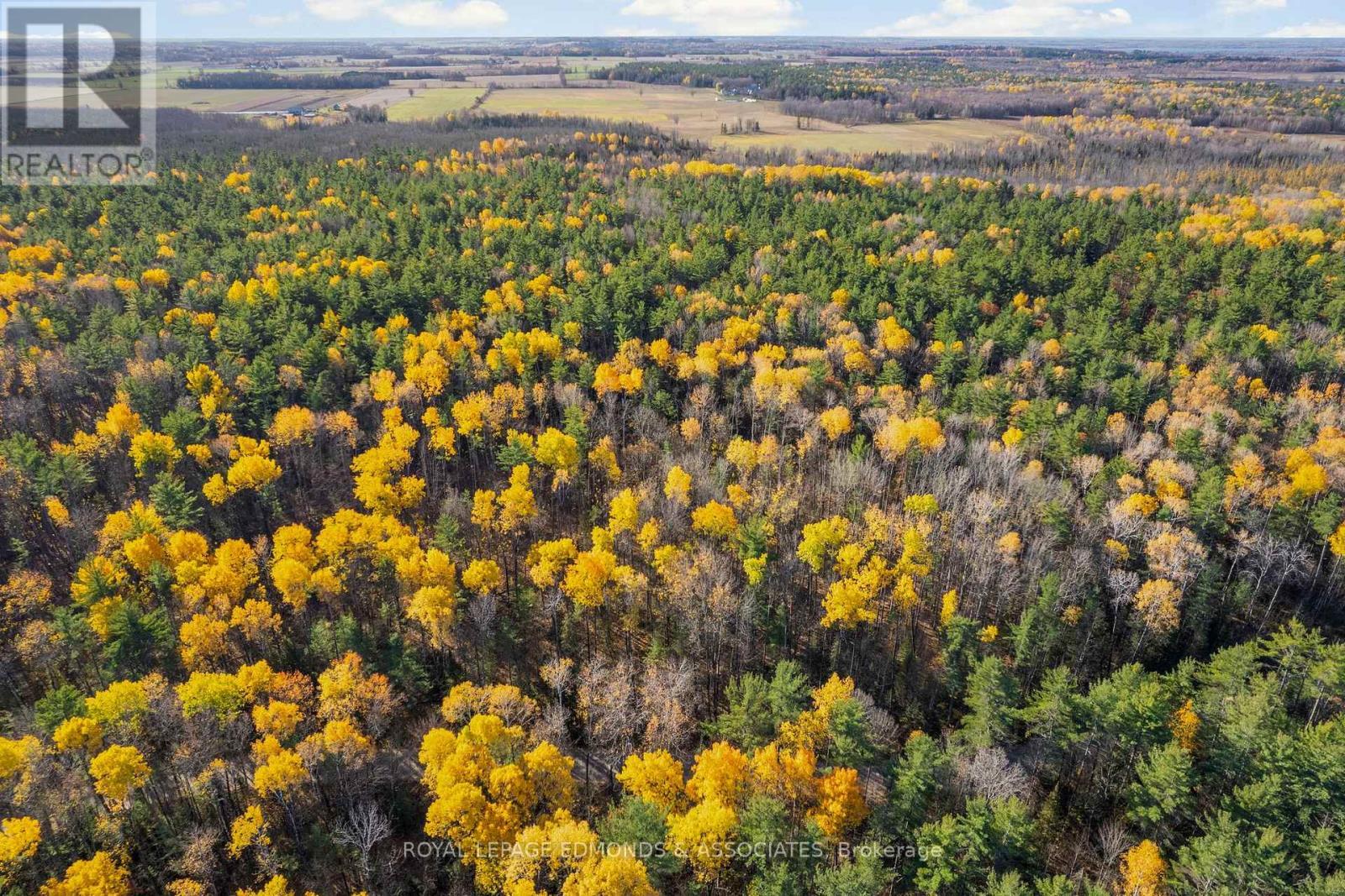 100 Nangor Trail, Whitewater Region, ON