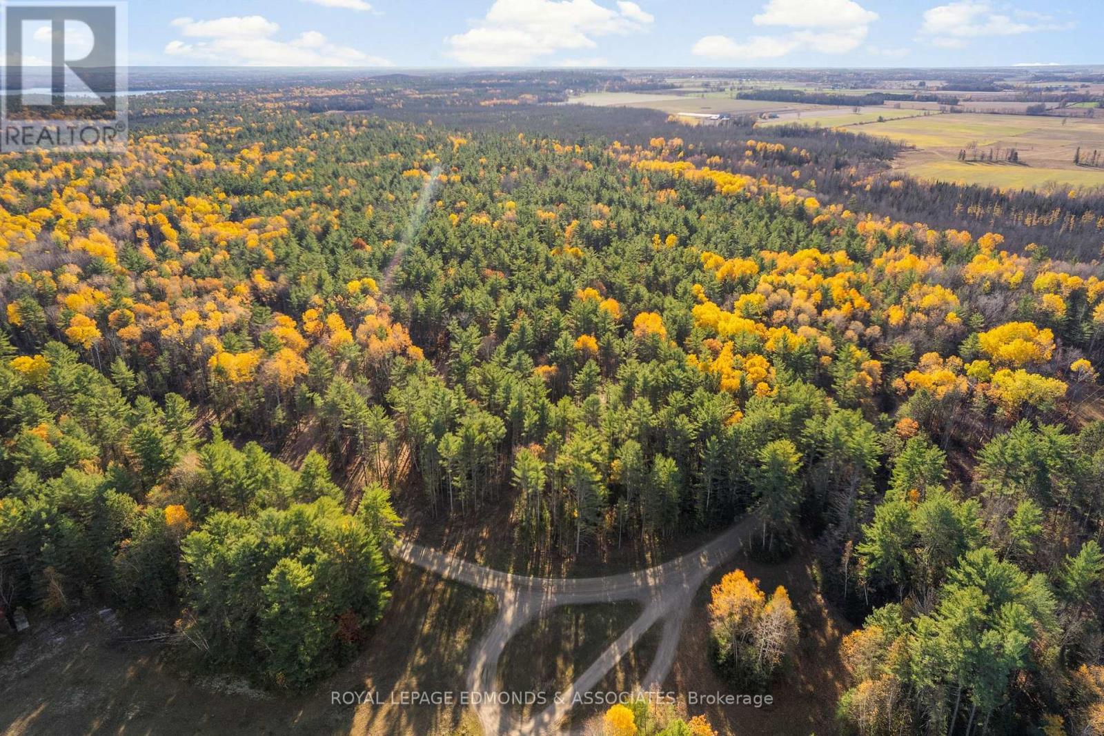 100 Nangor Trail, Whitewater Region, ON