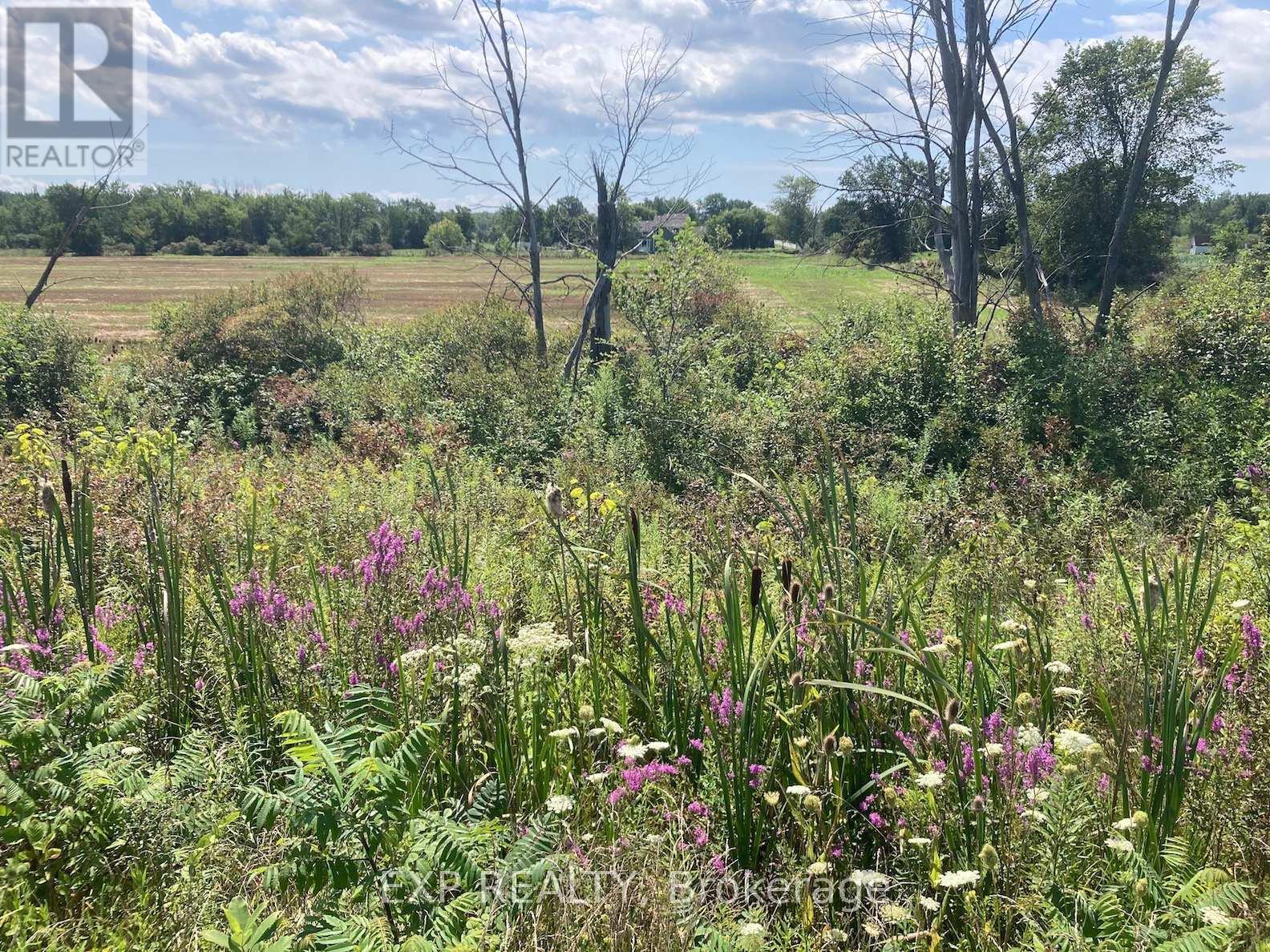 Pt Lt11 Con 15 Niagara River Bertie Pt 6, Fort Erie (Mulgrave), ON