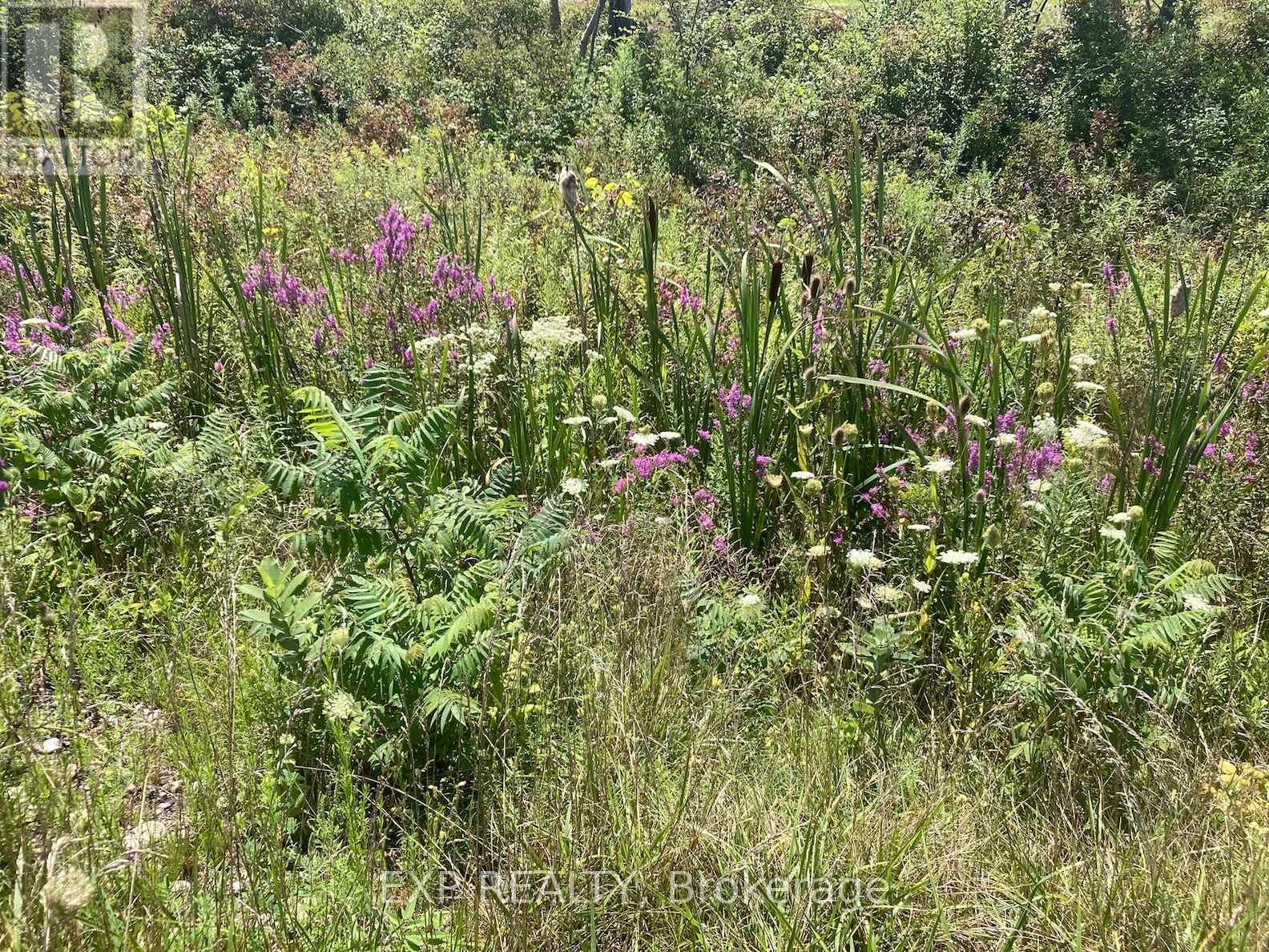 Pt Lt11 Con 15 Niagara River Bertie Pt 6, Fort Erie (Mulgrave), ON