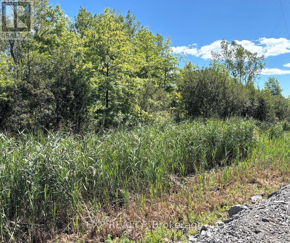 Pt Lt 4 Ramey Road, Port Colborne (Bethel), ON