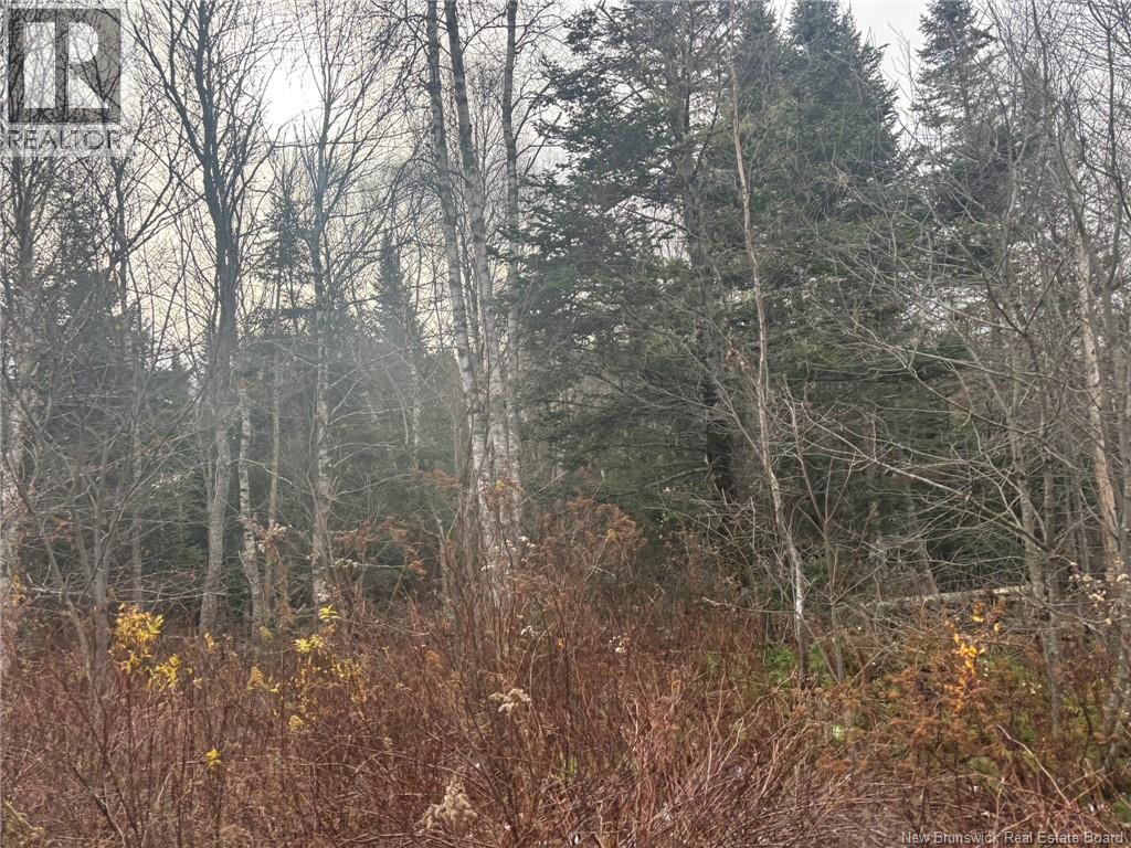 25-4 Spruce Lane, Damascus, NB