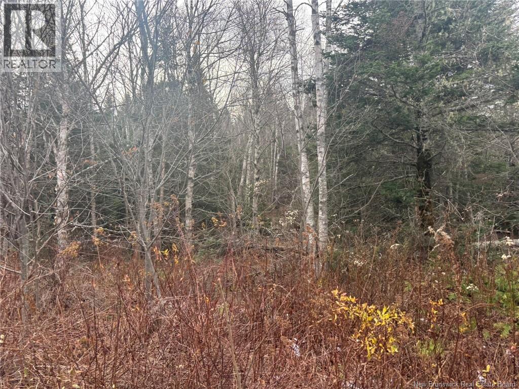 25-4 Spruce Lane, Damascus, NB