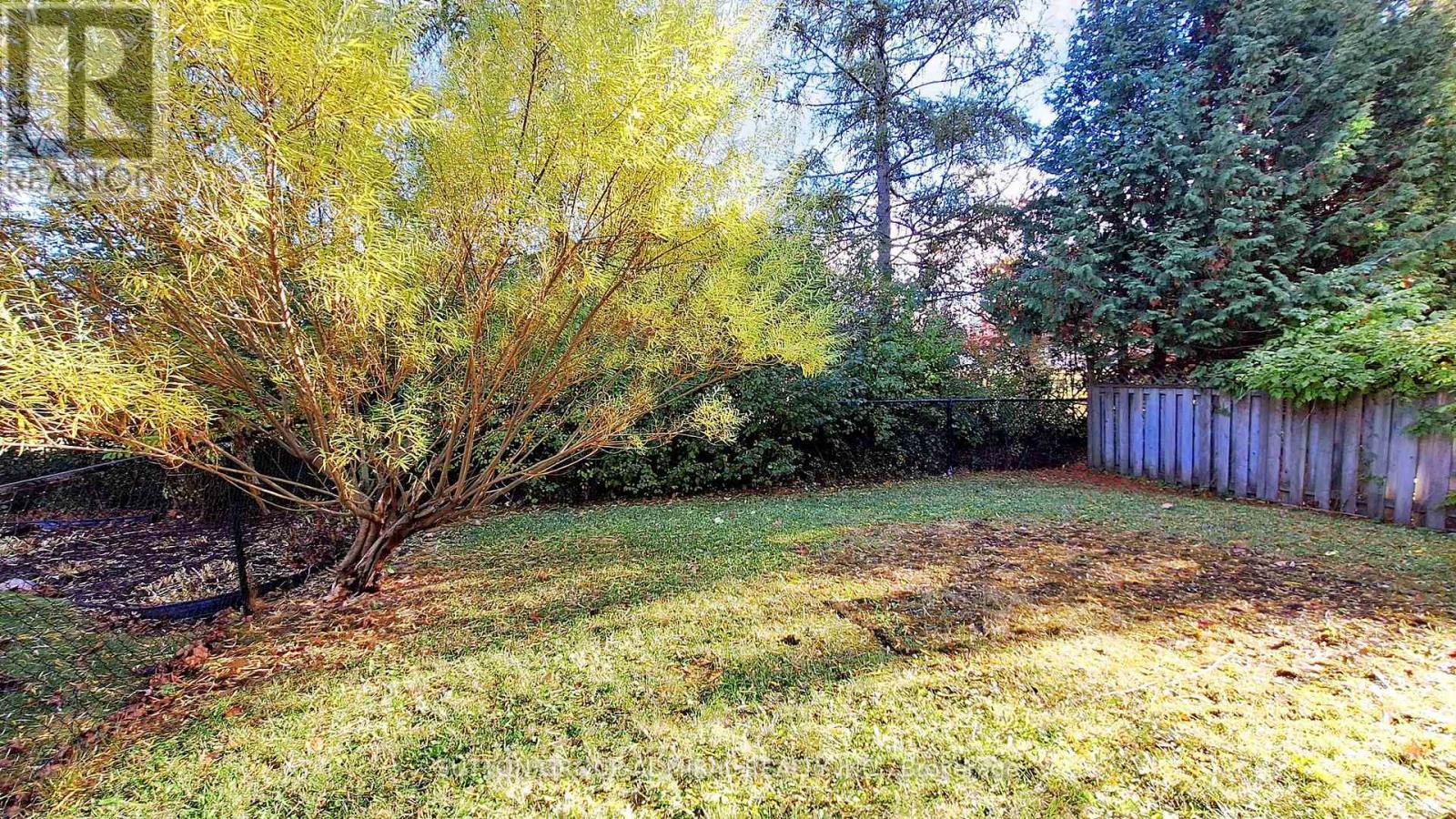 59 Springer Drive, Richmond Hill, ON - Outdoor