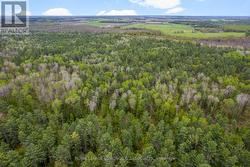 0000 NANGOR TRAIL Whitewater Region, ON K0J 2L0