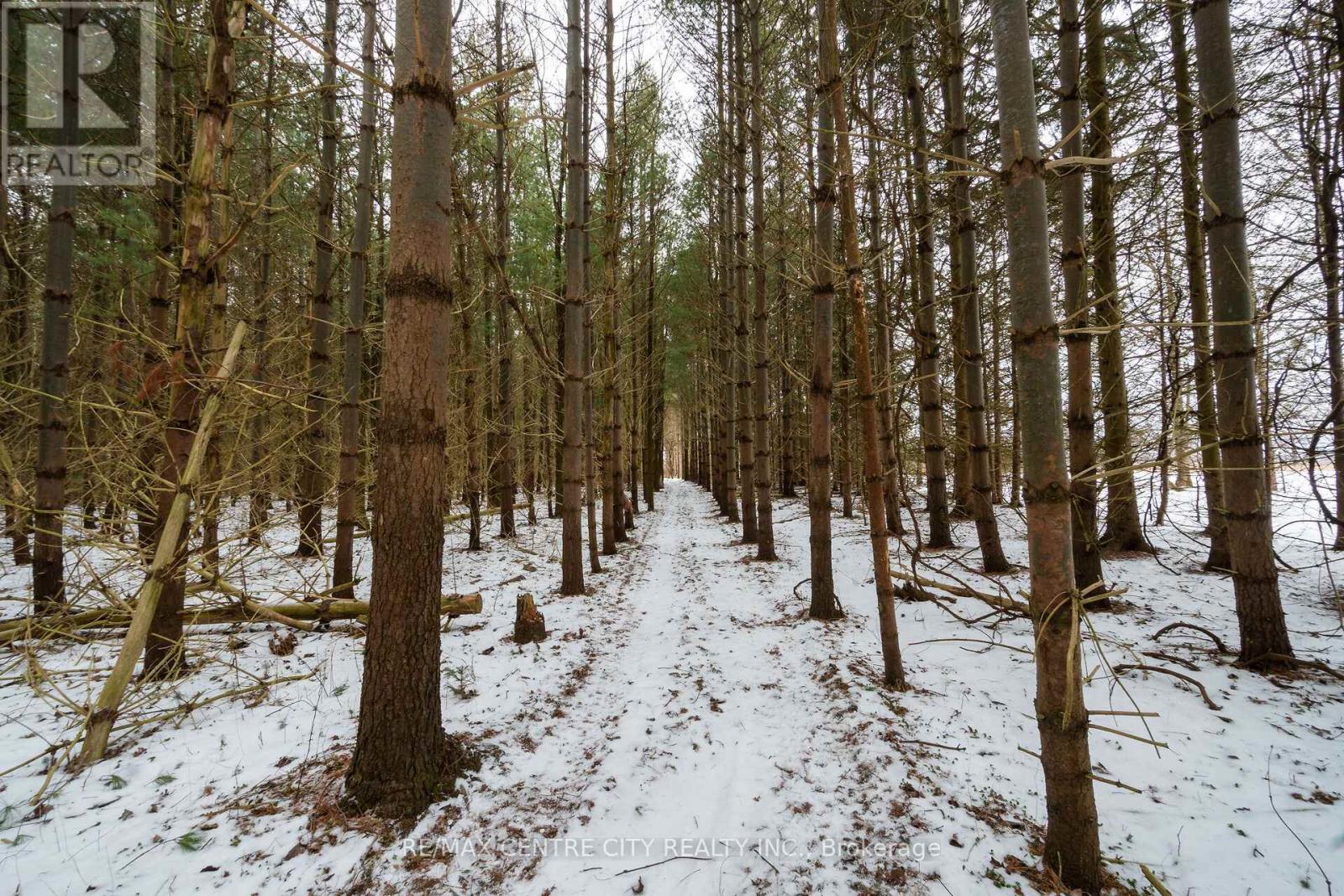 Pt Lt 24 Concession 5, Lambton Shores (Arkona), ON