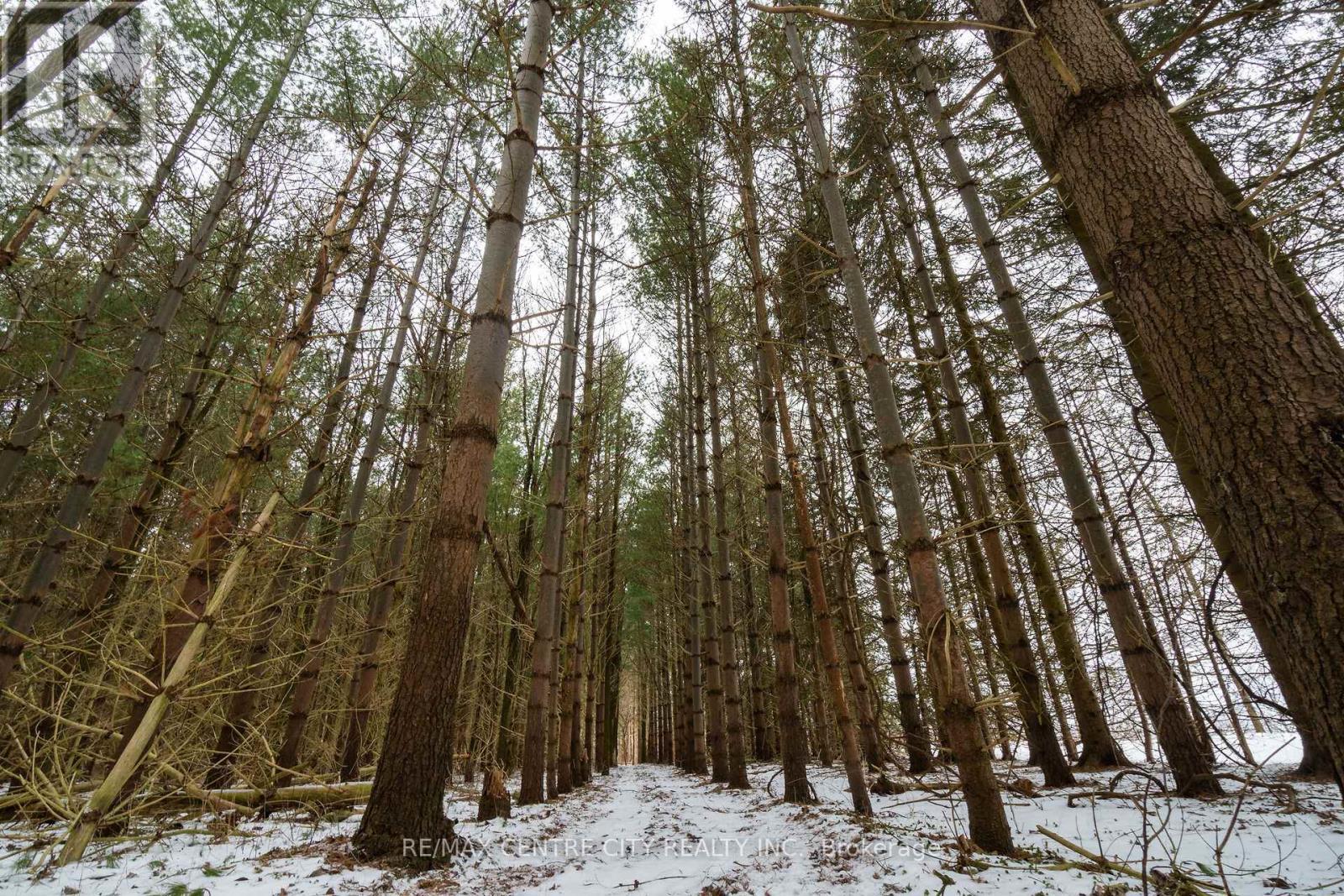 Pt Lt 24 Concession 5, Lambton Shores (Arkona), ON