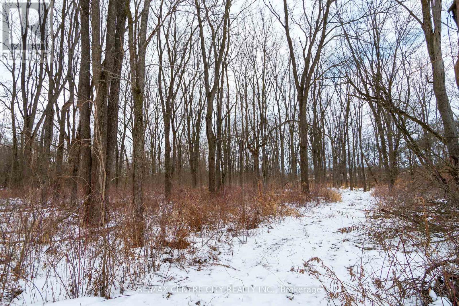 Pt Lt 24 Concession 5, Lambton Shores (Arkona), ON