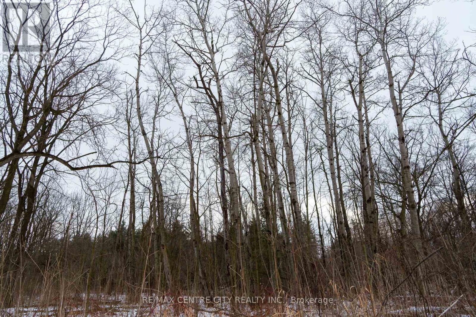 Pt Lt 24 Concession 5, Lambton Shores (Arkona), ON