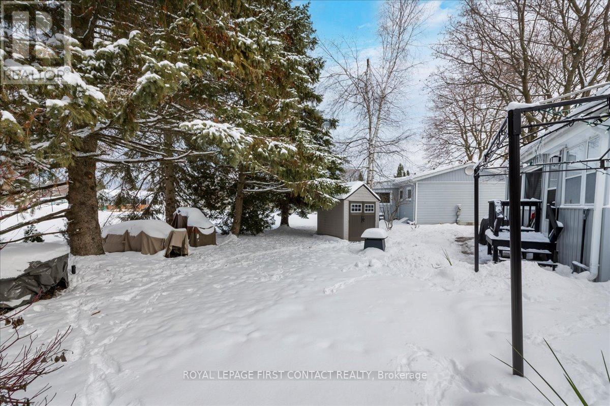 Back yard - 10 South Boulevard, Innisfil, ON - Outdoor