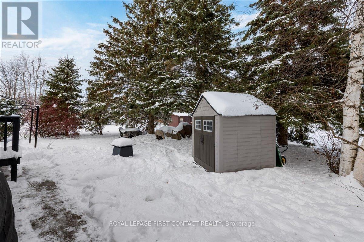 Back yard - 10 South Boulevard, Innisfil, ON - Outdoor