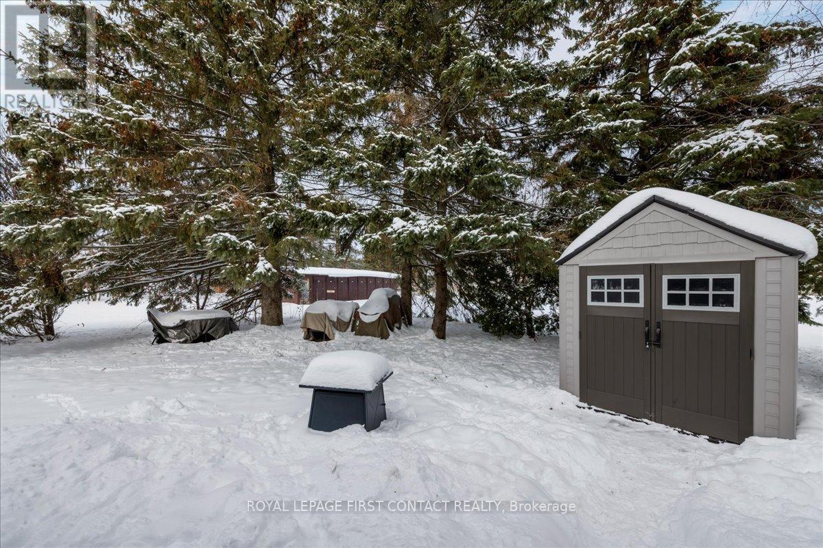 Garden shed - 10 South Boulevard, Innisfil, ON - Outdoor