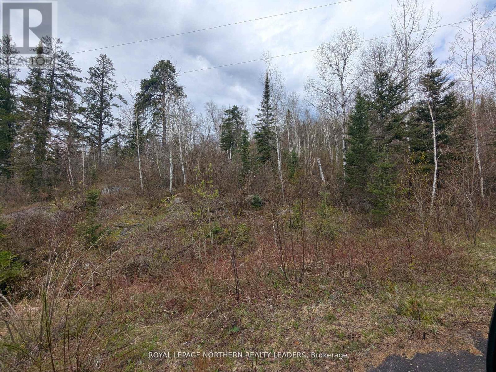 1619 Lava Mountain Road, Black River-Matheson (Matheson), ON