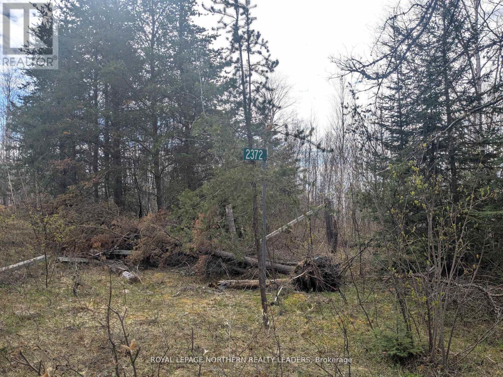 1619 Lava Mountain Road, Black River-Matheson (Matheson), ON