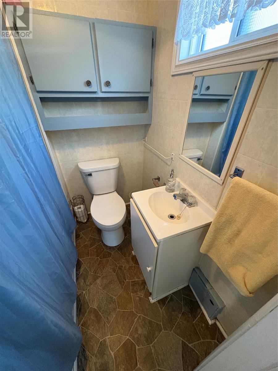 8 Thirteenth Avenue, Grand Falls Windsor, NL - Indoor Photo Showing Bathroom