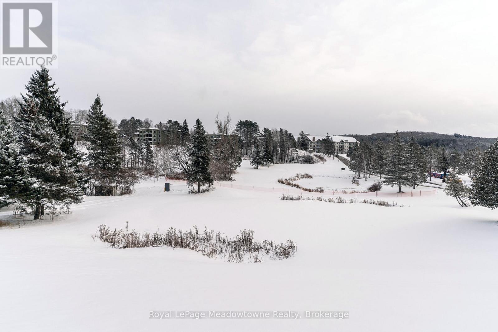 301 - 34 Deerhurst Greens Road, Huntsville (Chaffey), ON - With View