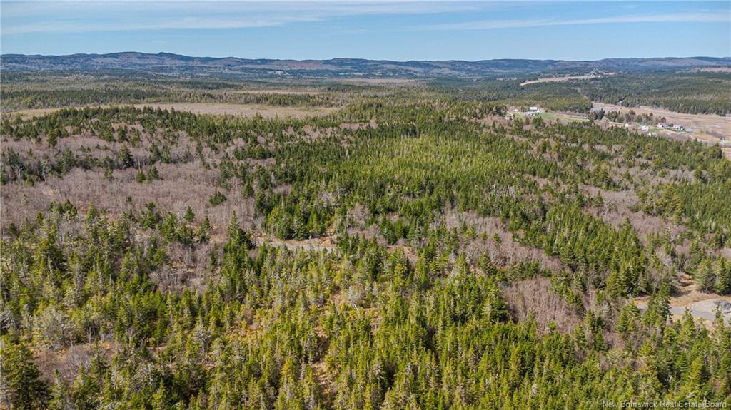 Lot B Old Shore Rd, Tynemouth Creek, NB