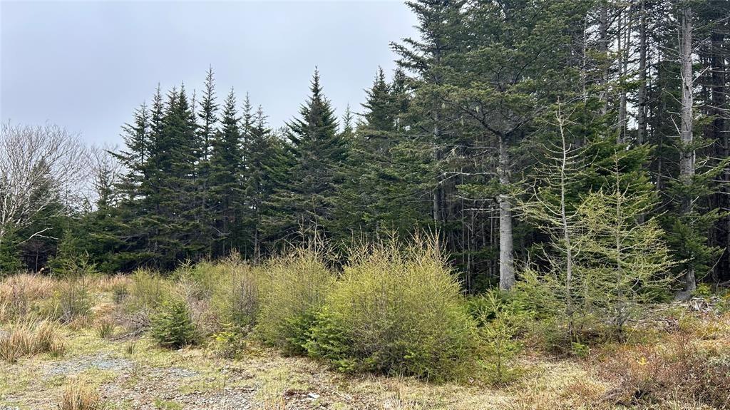 0 Strayaway Road, Blaketown, NL