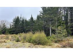 0 Strayaway Road Blaketown, NL A0B 1C0