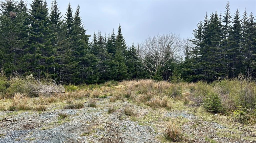 0 Strayaway Road, Blaketown, NL