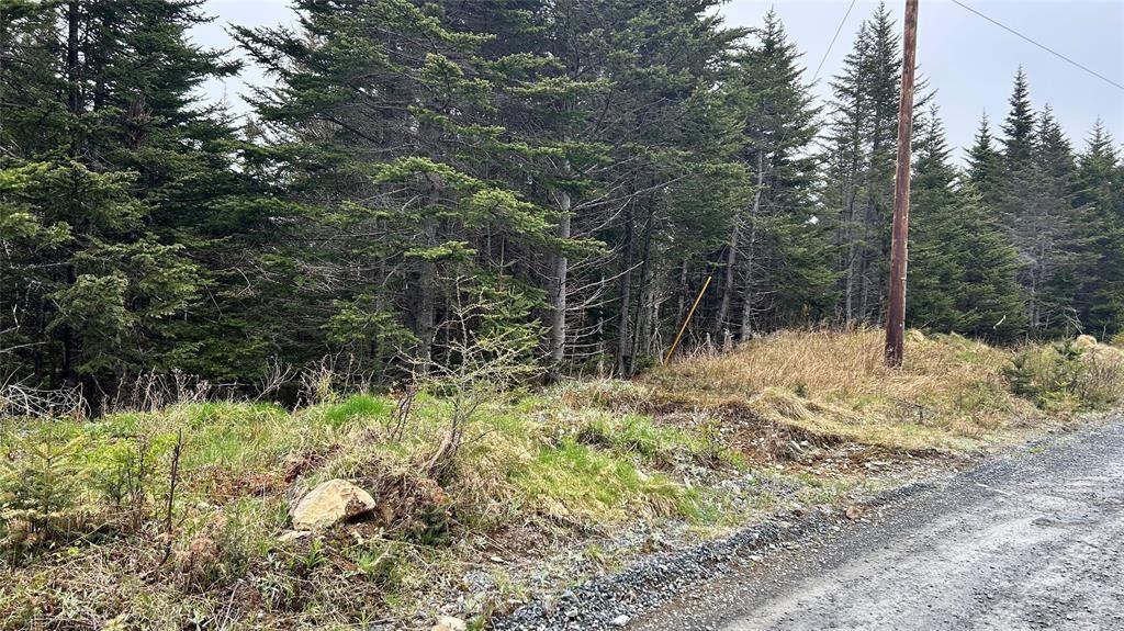 0 Strayaway Road, Blaketown, NL