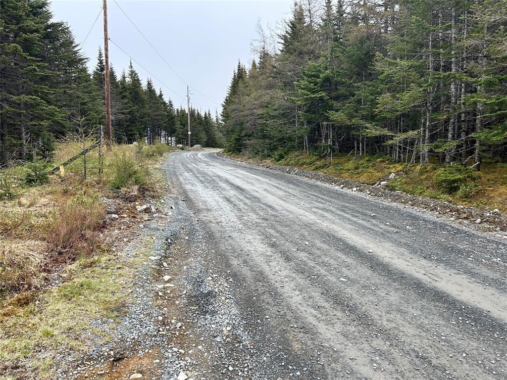 0 Strayaway Road, Blaketown, NL