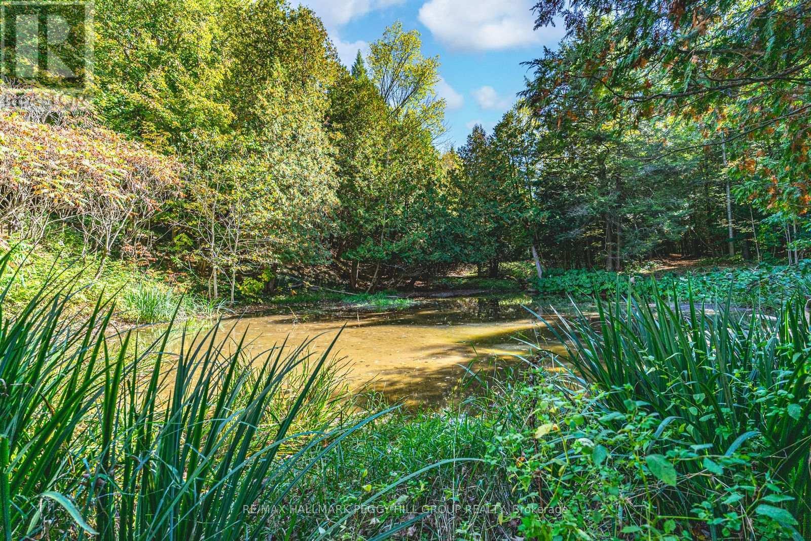 8275 County Road 9, Clearview, ON - Outdoor