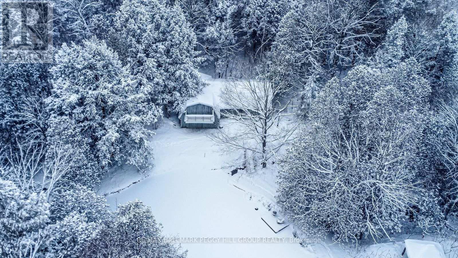 8275 County Road 9, Clearview, ON - Outdoor