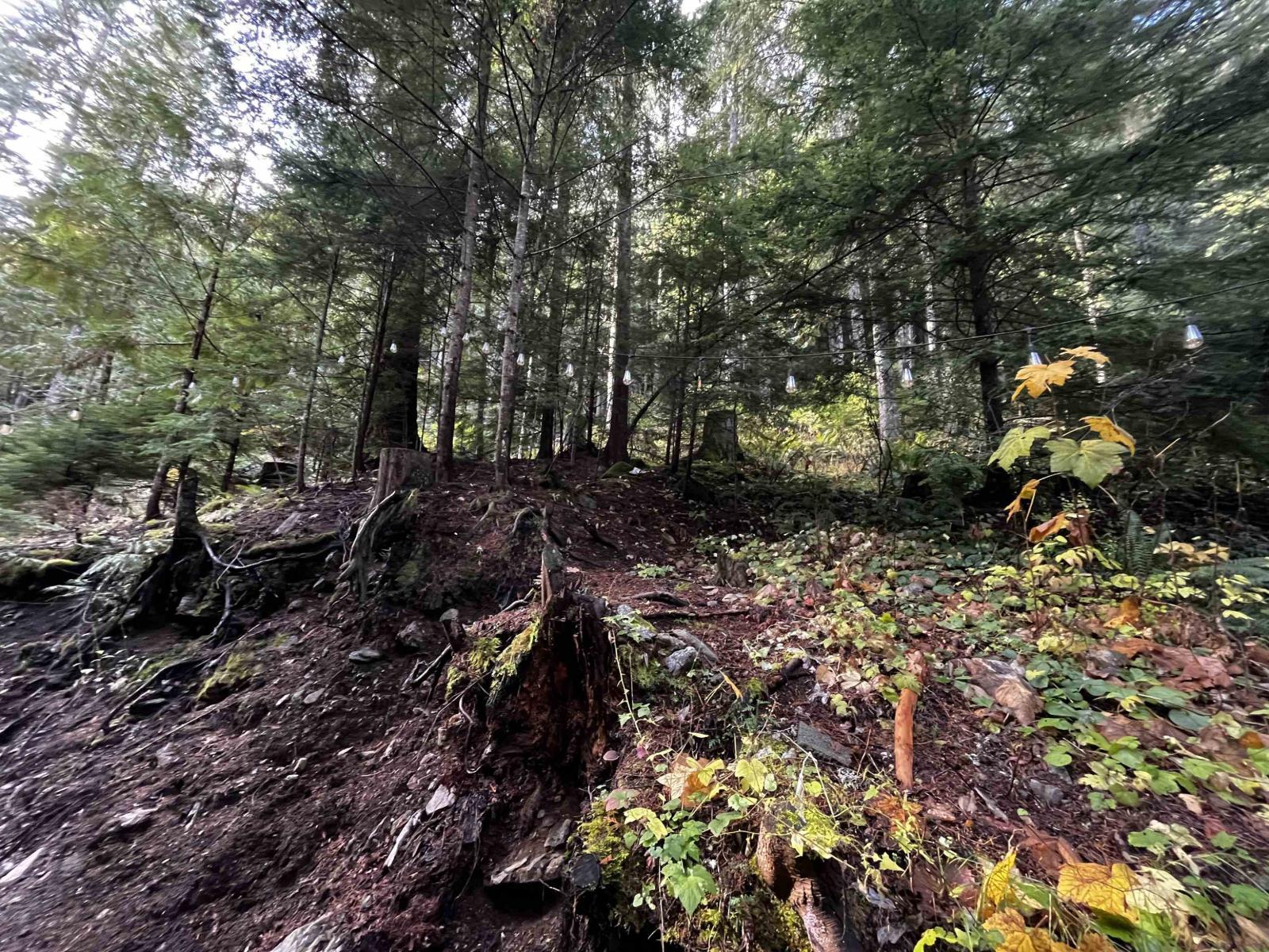 14371 Alpine Boulevard|Sunshine Valley, Sunshine Valley, BC - Outdoor