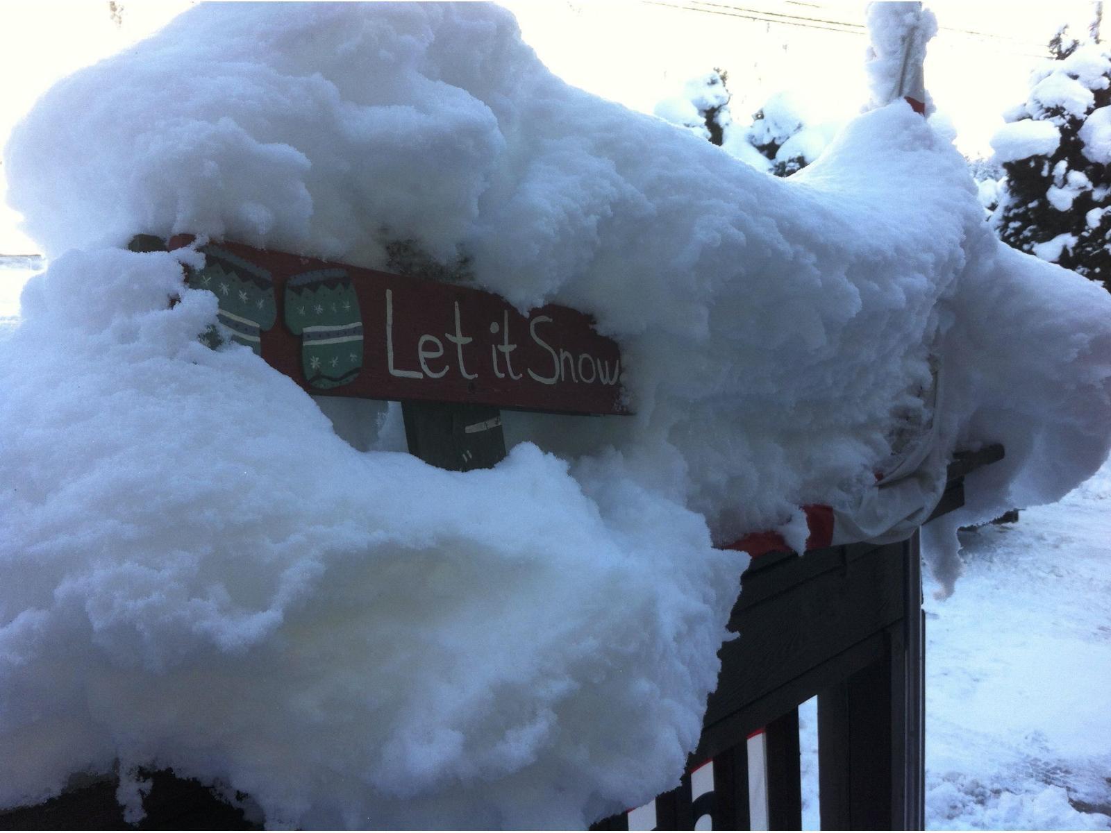 14371 Alpine Boulevard|Sunshine Valley, Sunshine Valley, BC - Outdoor