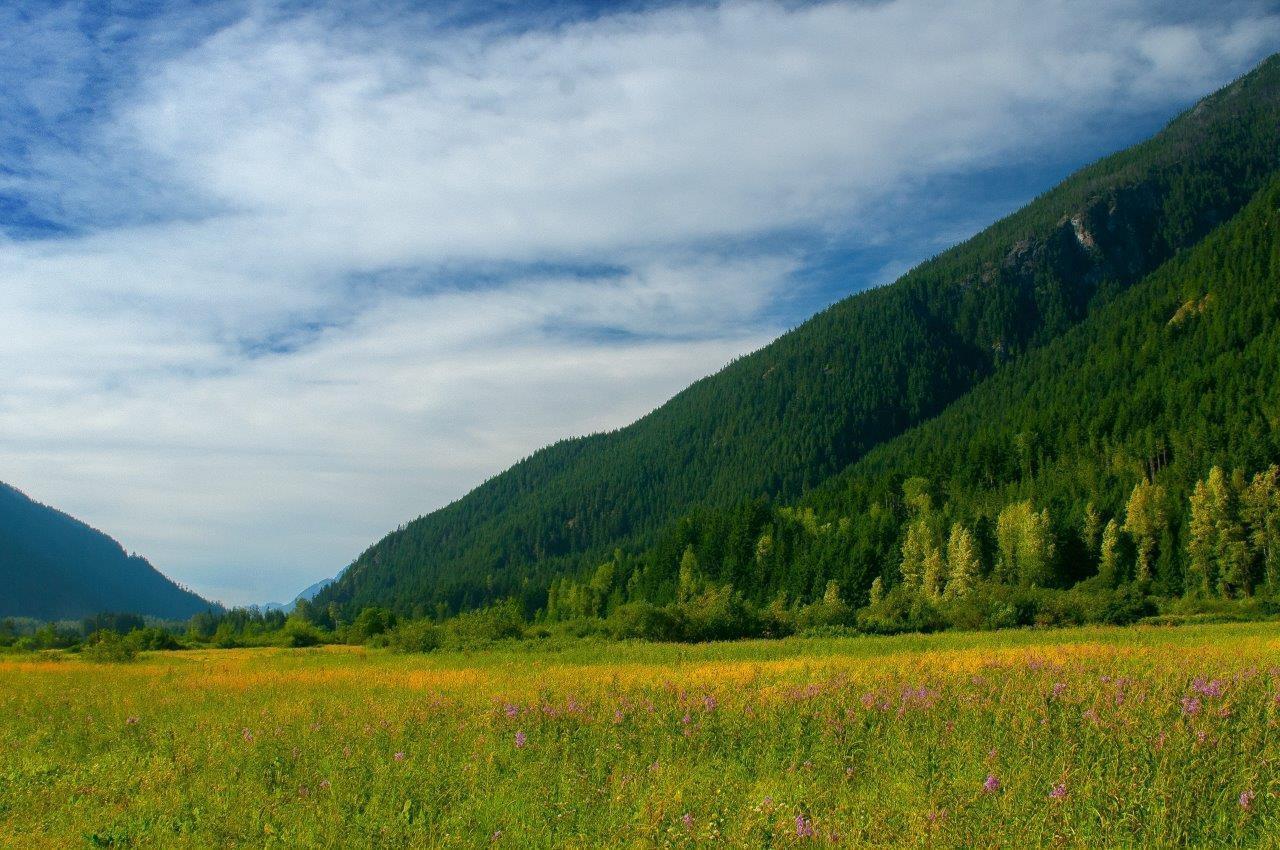 14371 Alpine Boulevard|Sunshine Valley, Sunshine Valley, BC - Outdoor With View