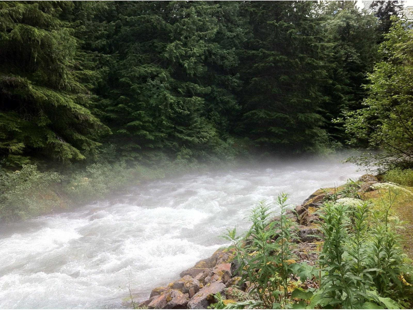 14371 Alpine Boulevard|Sunshine Valley, Sunshine Valley, BC - Outdoor