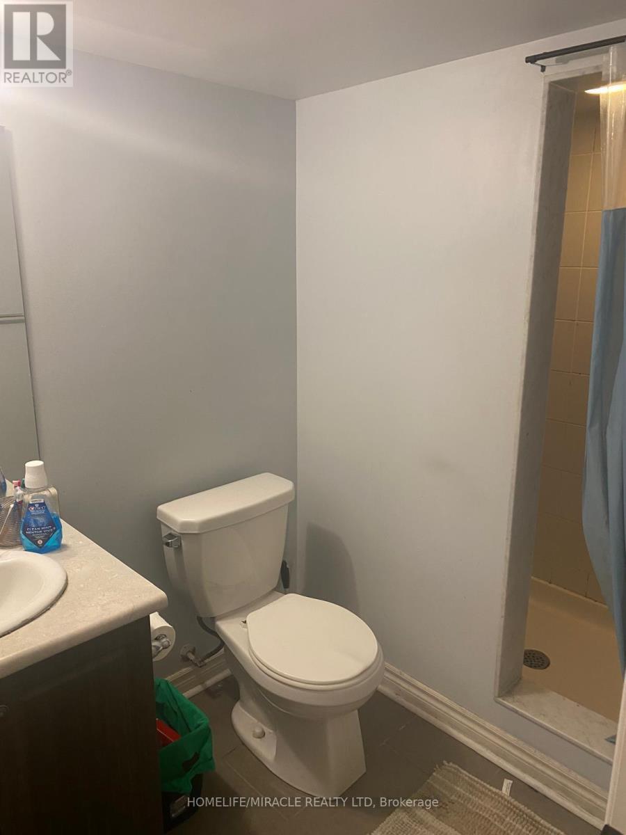 16 Golden Springs Drive, Brampton, ON - Indoor Photo Showing Bathroom