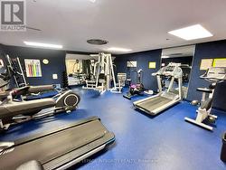 Gym (level B1) -