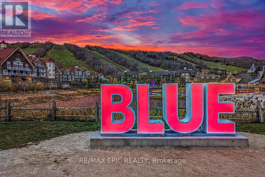 #252 - 220 Gord Canning Drive, Blue Mountains, ON - Outdoor With View