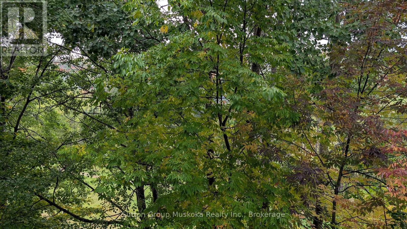 27-202 Golfview - Deerhurst Drive, Huntsville (Chaffey), ON - Outdoor