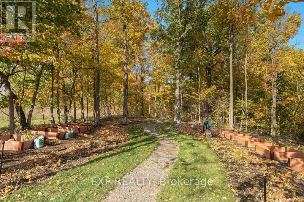 3169 King Street, Lincoln, ON - Outdoor With View