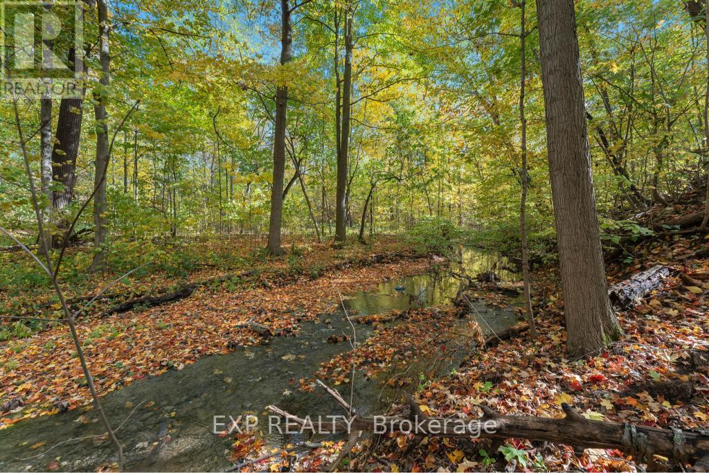 3169 King Street, Lincoln, ON - Outdoor With View