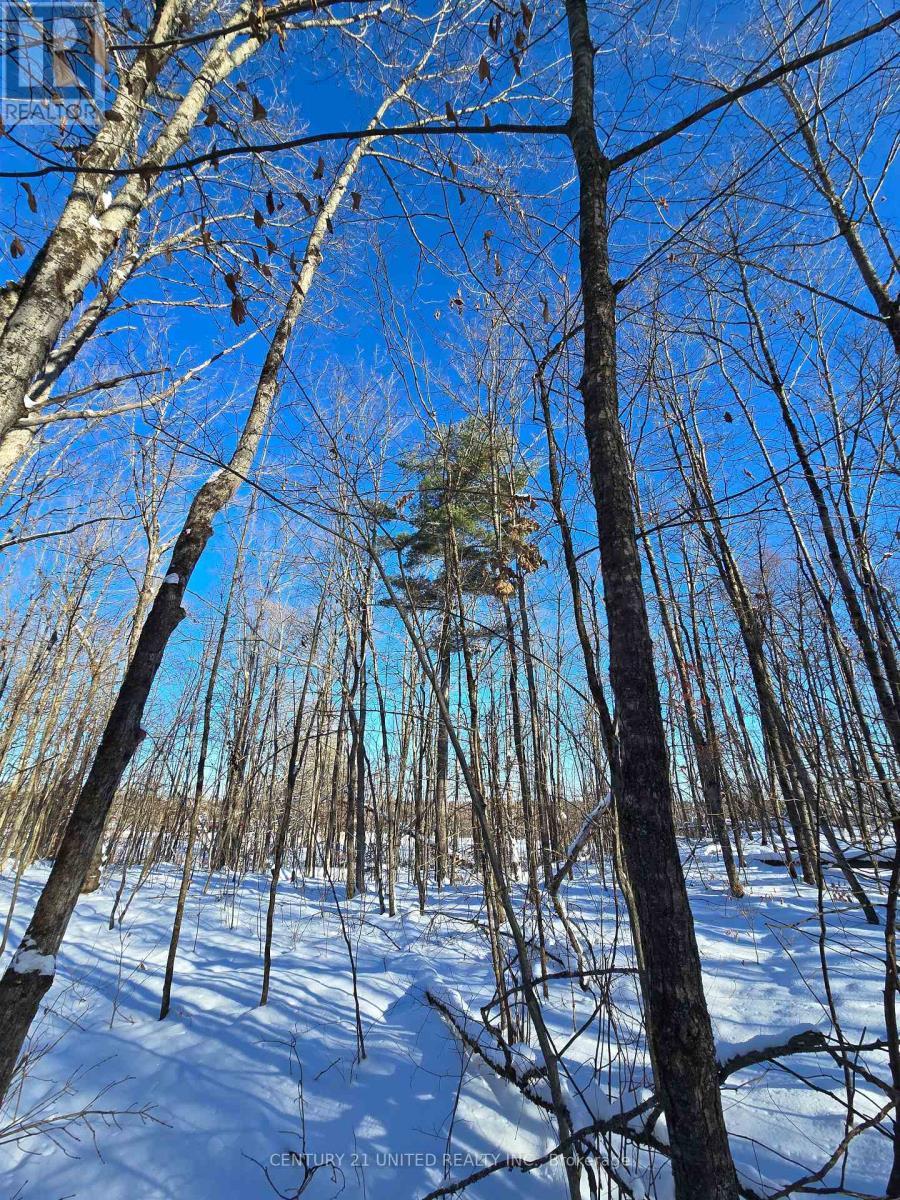 81 Vansickle Trail, Havelock-Belmont-Methuen, ON