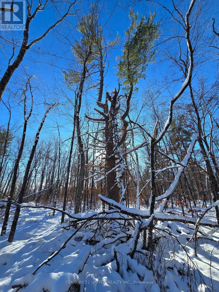 81 Vansickle Trail, Havelock-Belmont-Methuen, ON