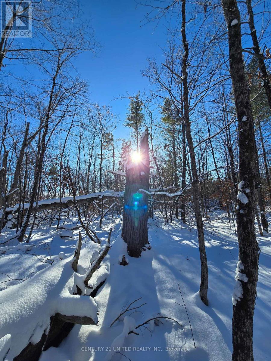 81 Vansickle Trail, Havelock-Belmont-Methuen, ON