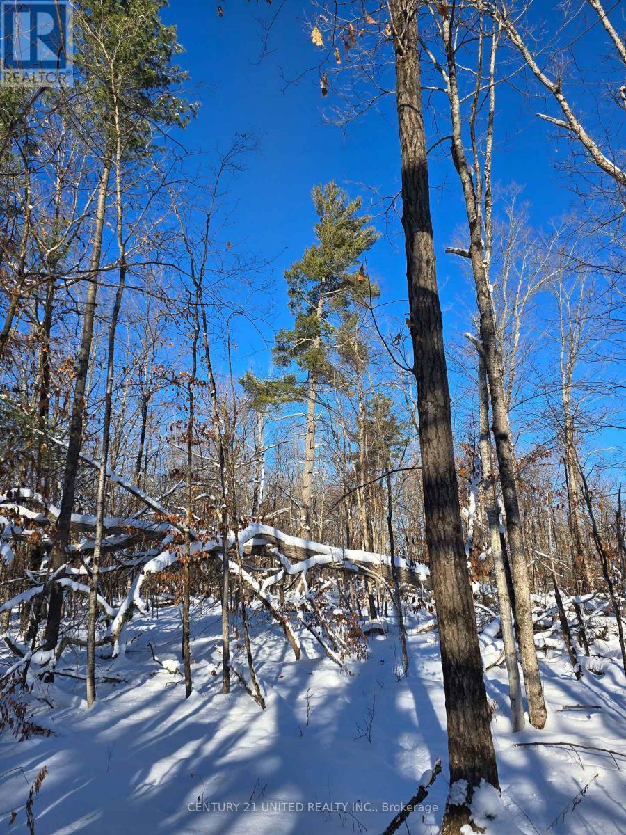 81 Vansickle Trail, Havelock-Belmont-Methuen, ON