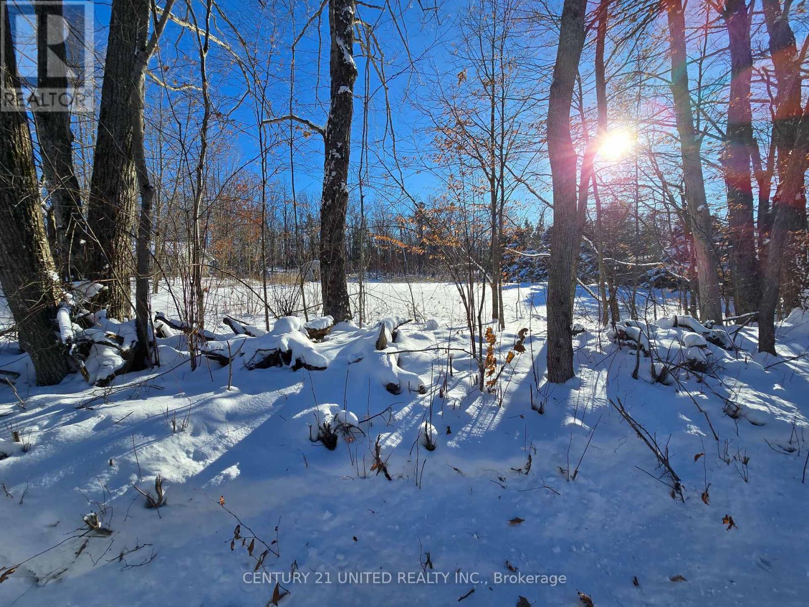 81 Vansickle Trail, Havelock-Belmont-Methuen, ON