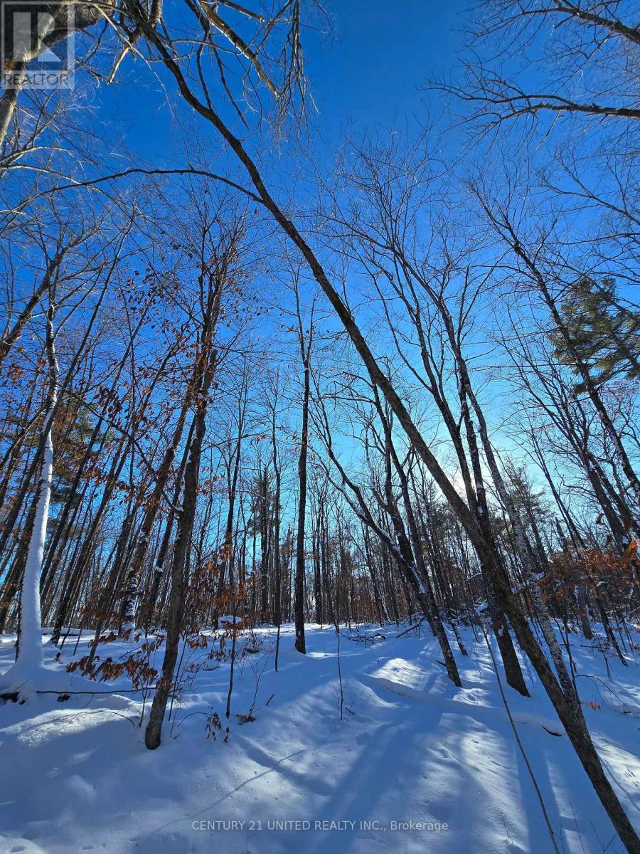 81 Vansickle Trail, Havelock-Belmont-Methuen, ON