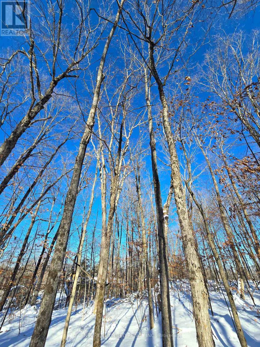 81 Vansickle Trail, Havelock-Belmont-Methuen, ON